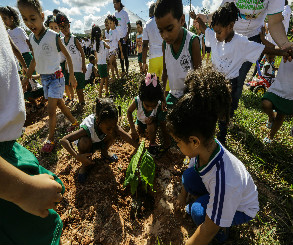 Comunidades concluem plantio de 1.400 mudas no Anel Florestal