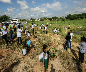Comunidades concluem plantio de 1.400 mudas no Anel Florestal