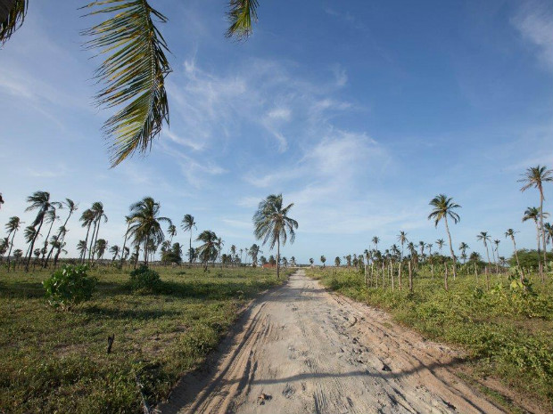 Praias do Ceará serão cenário da campanha de verão da Rota do Mar