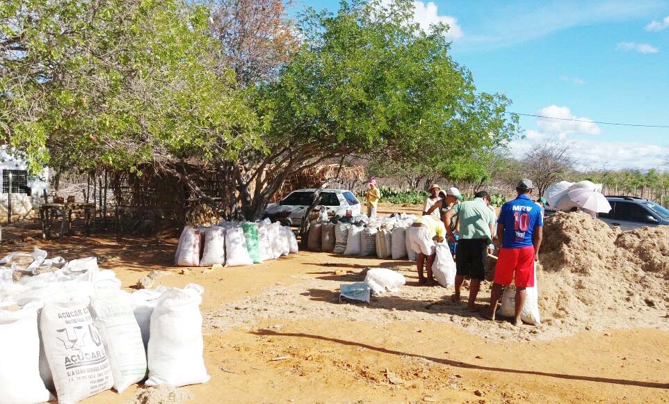Agrovale doa 600 toneladas de bagaço da cana-de-açúcar para associações de produtores rurais de Juazeiro