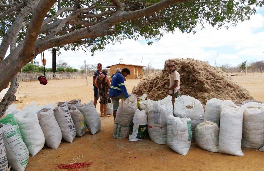 Agrovale doa 600 toneladas de bagaço da cana-de-açúcar para associações de produtores rurais de Juazeiro